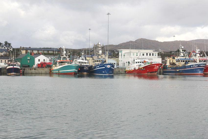 The Beara Coast Hotel Castletownbere Exteriör bild
