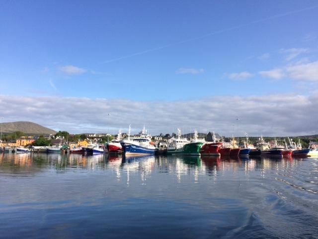 The Beara Coast Hotel Castletownbere Exteriör bild